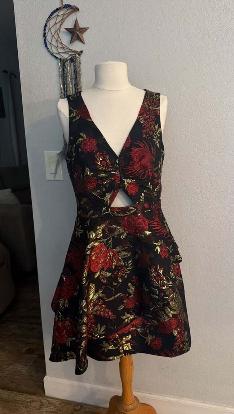 Rachel Roy Binx Dress Sz 2 Black Red Gold Floral Brocade